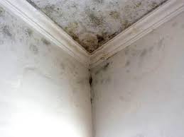 Best Residential Mold Inspection & Testing  in Glasgow, MO