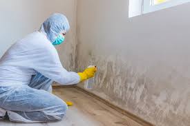 Mold Removal for HVAC Installations in Glasgow, MO