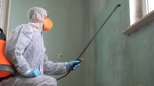 Best Mold Odor Removal Services  in Glasgow, MO